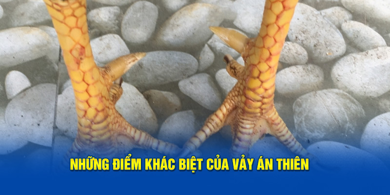 Điểm khác biệt của lớp bảo vệ